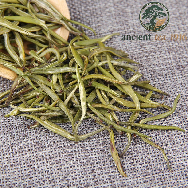 500g 2026 Yunnan Spring Tea Sprout Cold Bubble Single Bud Green Tea