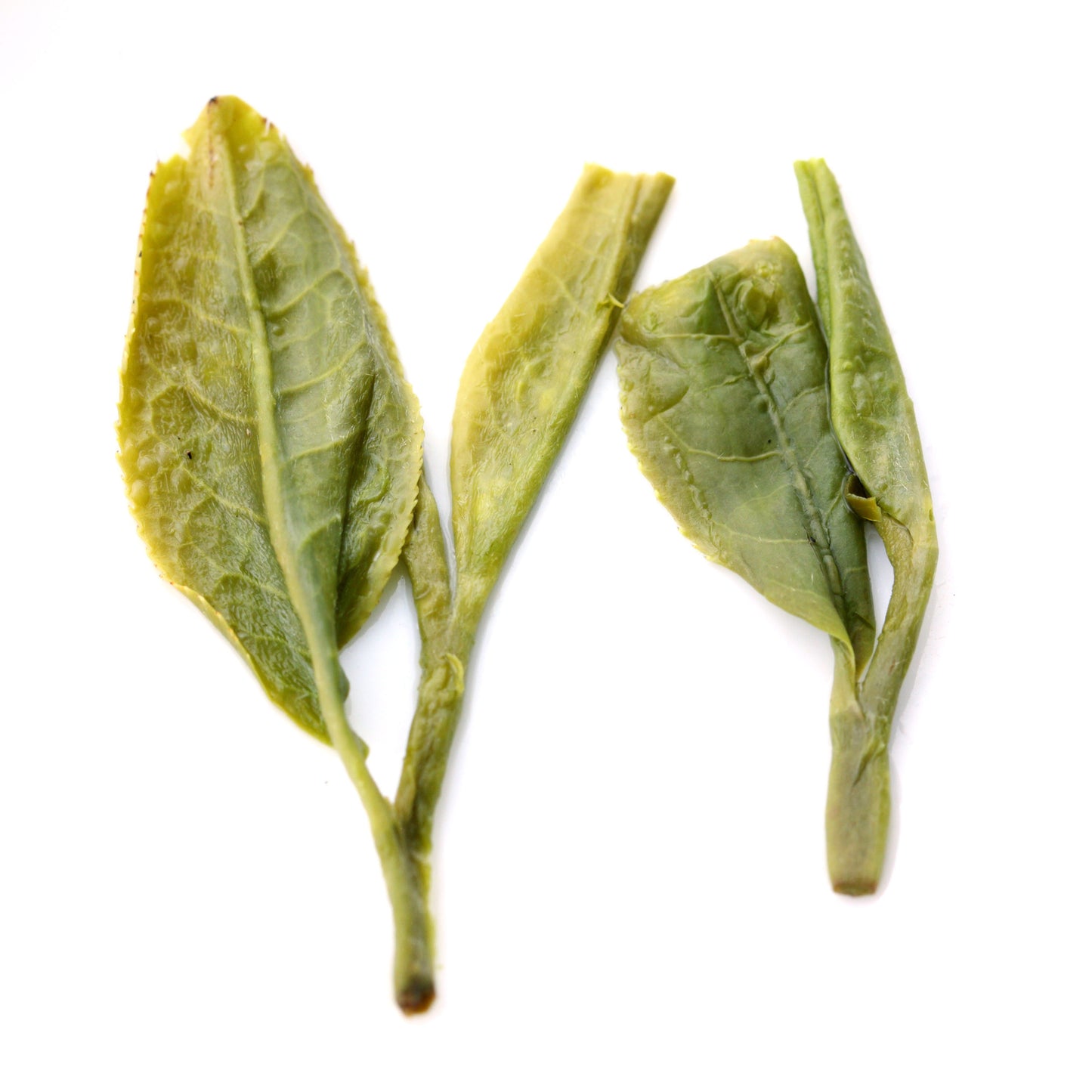GOARTEA 100g Supreme Xihu Longjing Dragon Well Spring Green Tea Green Tea Loose-
