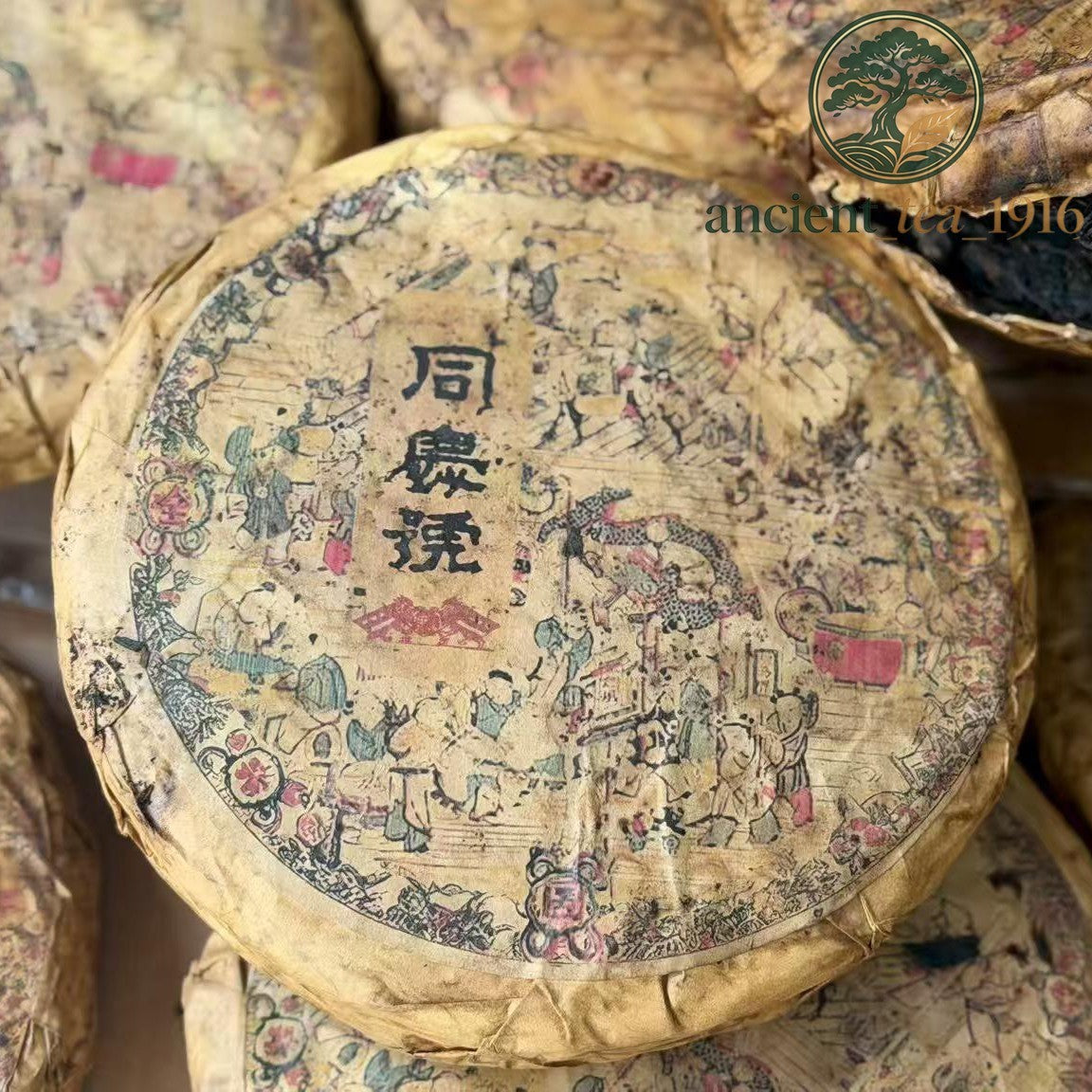 1990s Shuangshi Tongqing Red Label Raw Pu-erh 2-Cake Set