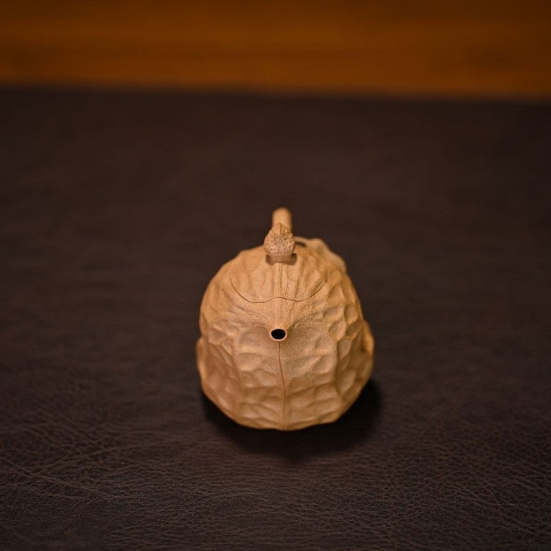 Full Handmade Tea Pot 110ml Real Yixing Zisha Duan Clay Kungfu Master Pot China