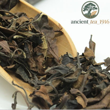 500g Organic Fuding White Tea Loose Leaf Natural Healthy Premium Drink