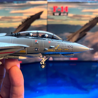 1:100 F-14B Male Cat Fighter Metal Model Wing Variable Bomb Cat Painting