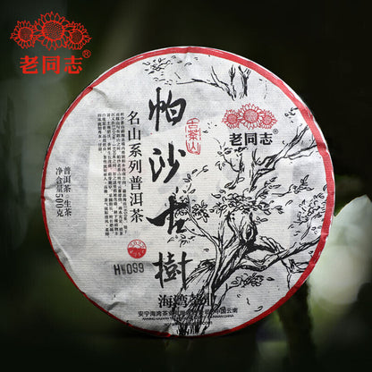 2022 Haiwan Pa Sha Ancient Tree Raw Puer Tea Aged Tree Sheng Puerh Tea 500g