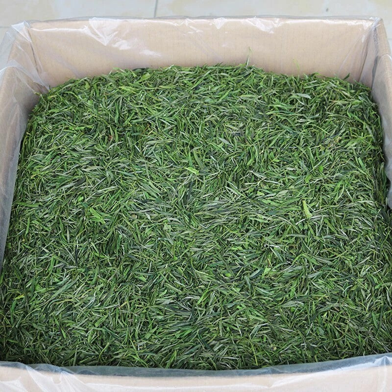 500g Huang Shan Mao Feng Green Tea Spring Maofeng Chinese Yellow Mountain Tea