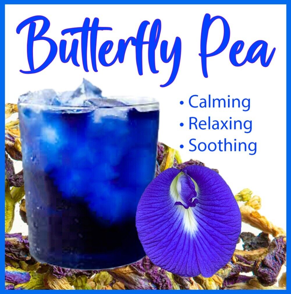 Butterfly Pea Flower Tea BLUE TEA Butterfly Pea Tea Clitoria Ternatea USA