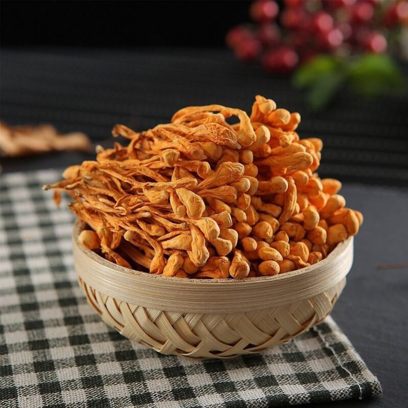 Premium Jin Chong Cao Mushroom Cordyceps Militaris Fungus Chong Cao Hua 500g