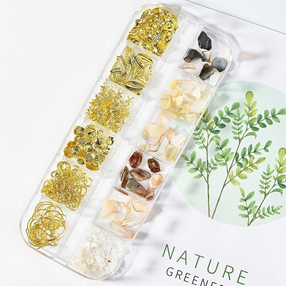 Nail Art Decor 3D Irregular Abalone Natural Sea Shell Stones DIY Accessory 1 Box