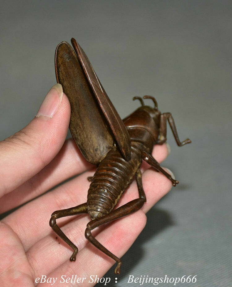 3.4" Exquisite Old Chinese Red Bronze Insect Locust Wing Statue Sculpture