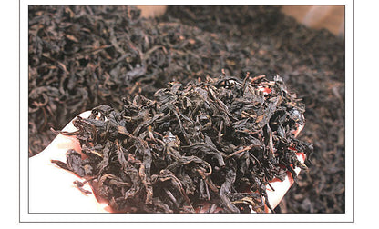 Dahongpao Rock Tea Strong Aroma Cinnamon Oolong Tea 20 Bags 100g