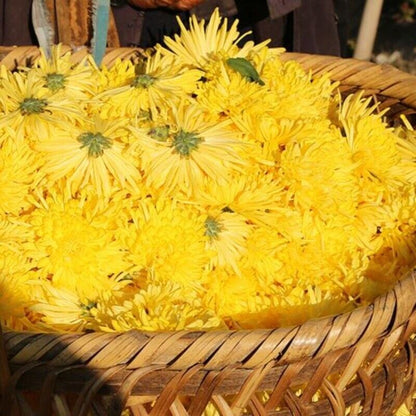 20Pcs/Box Chrysanthemum Tea