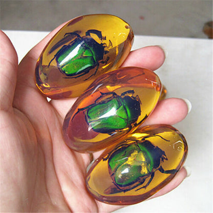 5 Pcs/lot Beautiful Amber Beetle Fossil Insects Manual Polishing Randomly Send.