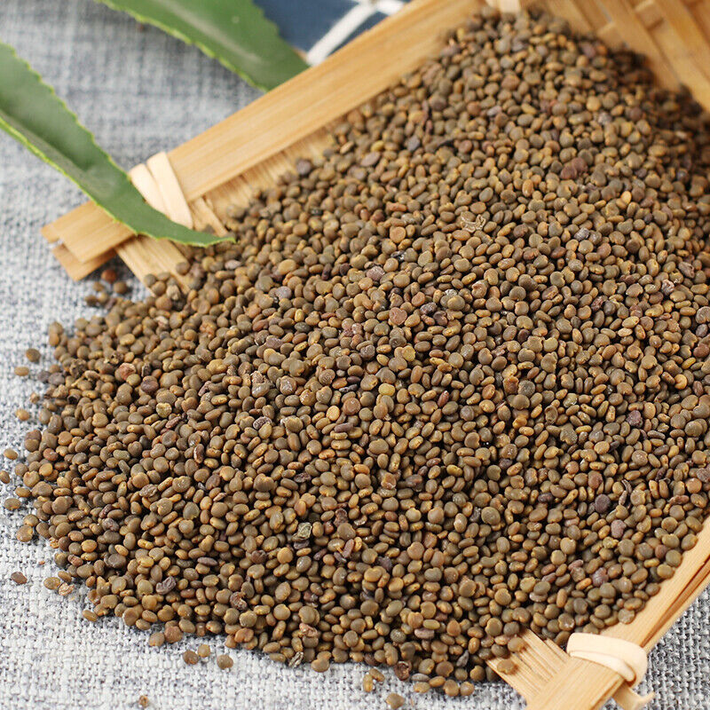 250g/8.8oz Top-grade Sha Wan Zi 100% Organic Healthy Herbal Tea 沙宛子 Health Care