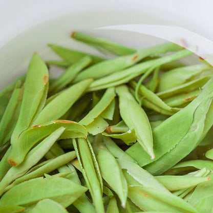Longjing Good Tea Minggulan Brand New Tea Fragrance and Durable Green Tea Canned