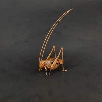 Handmade Small Grasshopper Copper Plate Copper Grasshopper Tea Pet Ornament -
