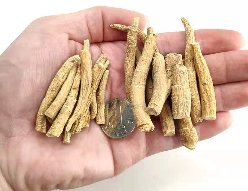 100% Pure American Panax Ginseng Dry Root chinese health herbal