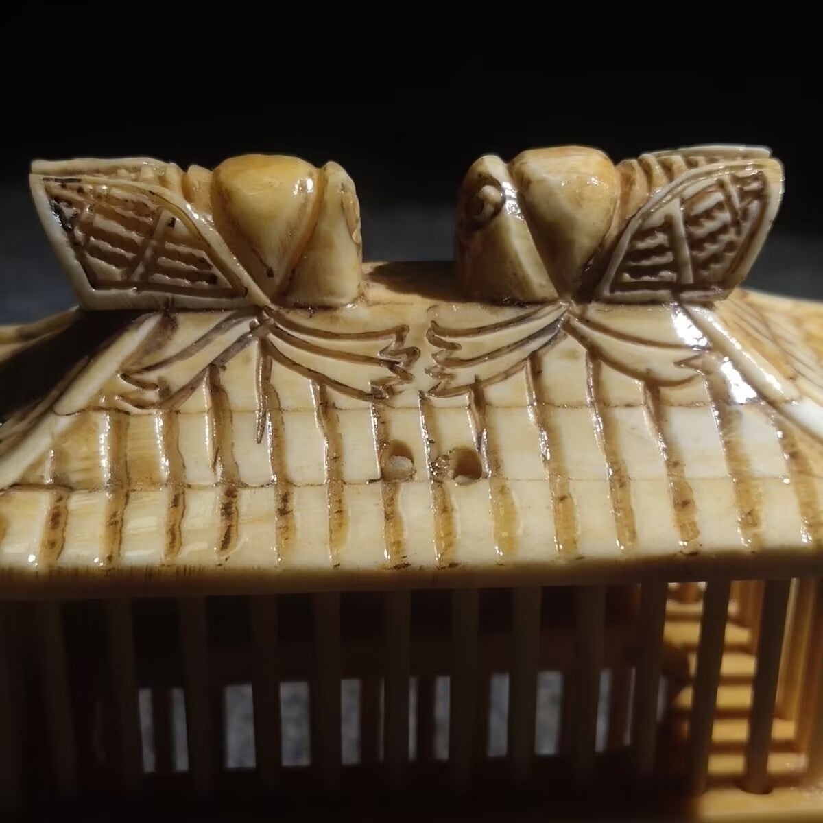 Unique Bone Carved Cricket Cage Grasshopper Small Animal Pet House Pet Collect