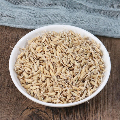 Organic Herbal Rice-grain Sprout Fructus Oryzae Germinatus Great Quality