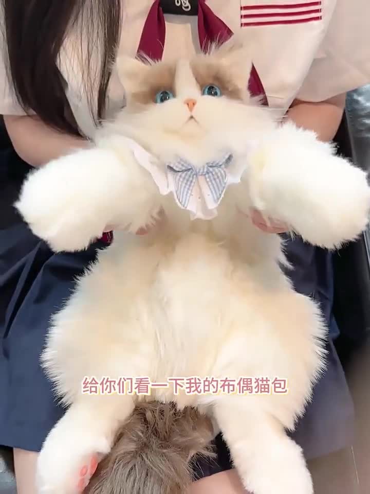Puppet Cat Backpack Simulation Backpack Doll Plush Toy Birthday Gift（wholesale）5