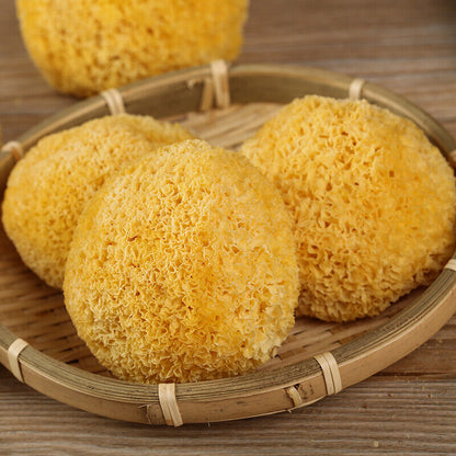 Bai Mu Er Tremella Fuciformis tremella mushroom white snow fungus-