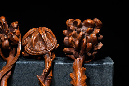 Boxwood Ruyi