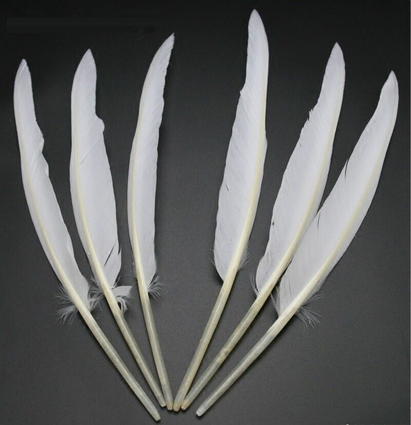 50x Natural White Goose Primary Wing Feather Arrow Making Party Costume Decor