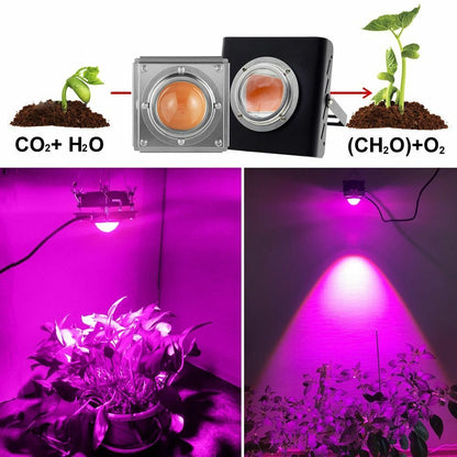 COB Grow Light Full Spectrum 300W High Luminous Efficiency Growing Lamp Plants