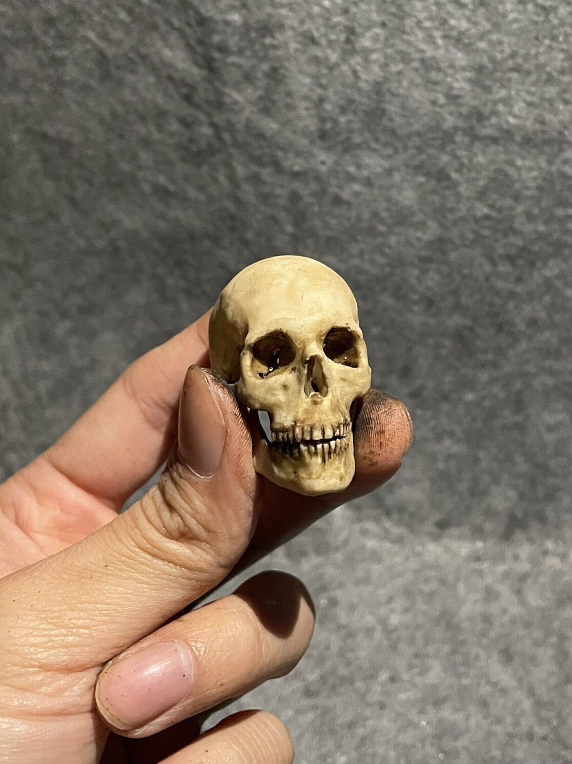 Alien Xenomorph Skull bone model For 1/6 Model Scene