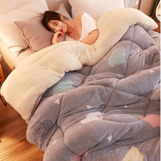 Warm Lamb Wool Quilt Thickened Cotton Double-sided Velvet King Queen Blanket