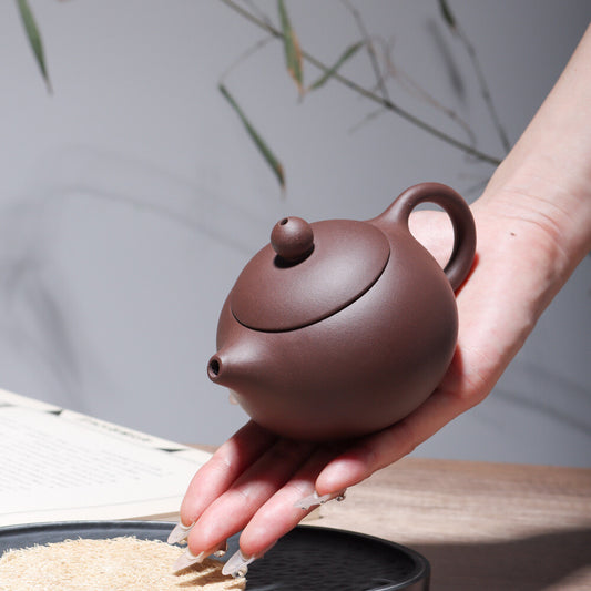 Yixing Zisha Pottery Purple Clay Teapot Mesh Flat Cover Xishi Tea Pot 西施壶