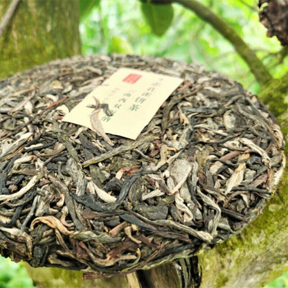 Brown Mountain Old Tree Pu'er Tea 357g Zhonghong India Laobanzhang Cha Tea