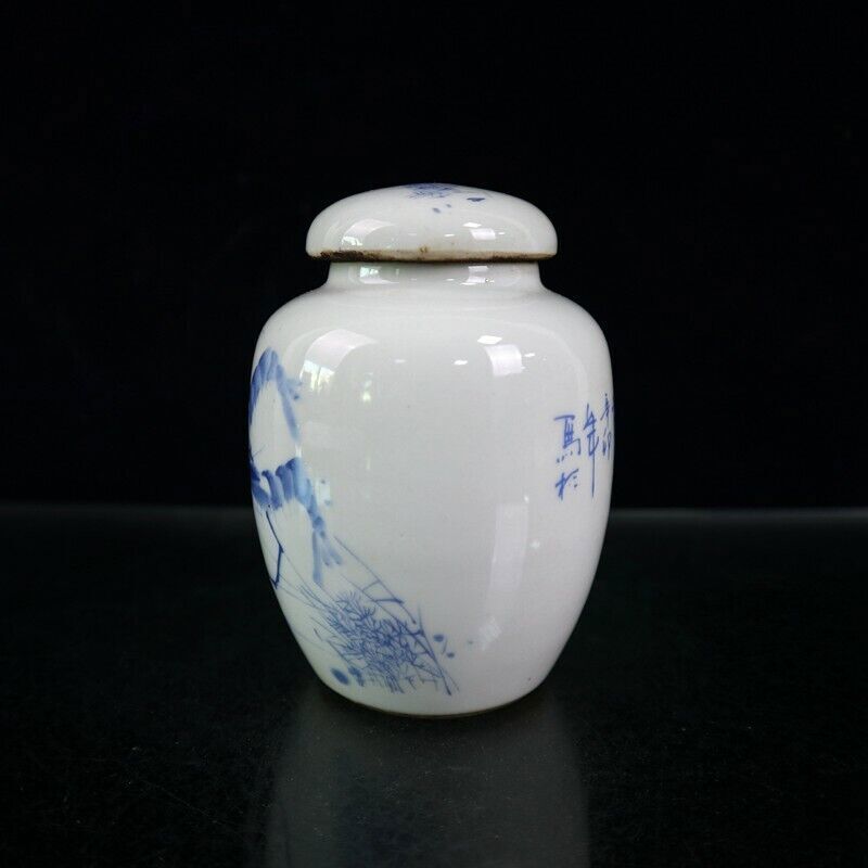Old Chinese Pots Blue and White Porcelain Hand Painted Shrimp Jar
