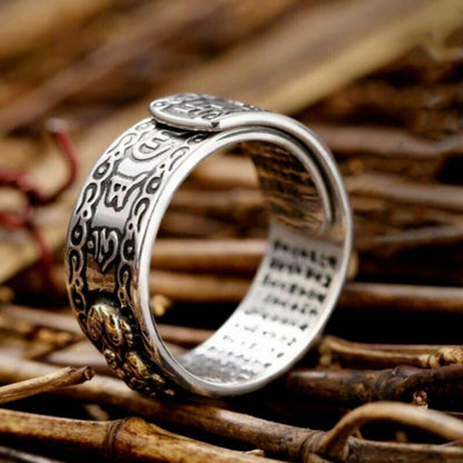Adjustable Pixiu Wealth Luck Fengshui Women Men Healing Reiki Ring Xmas Gifts
