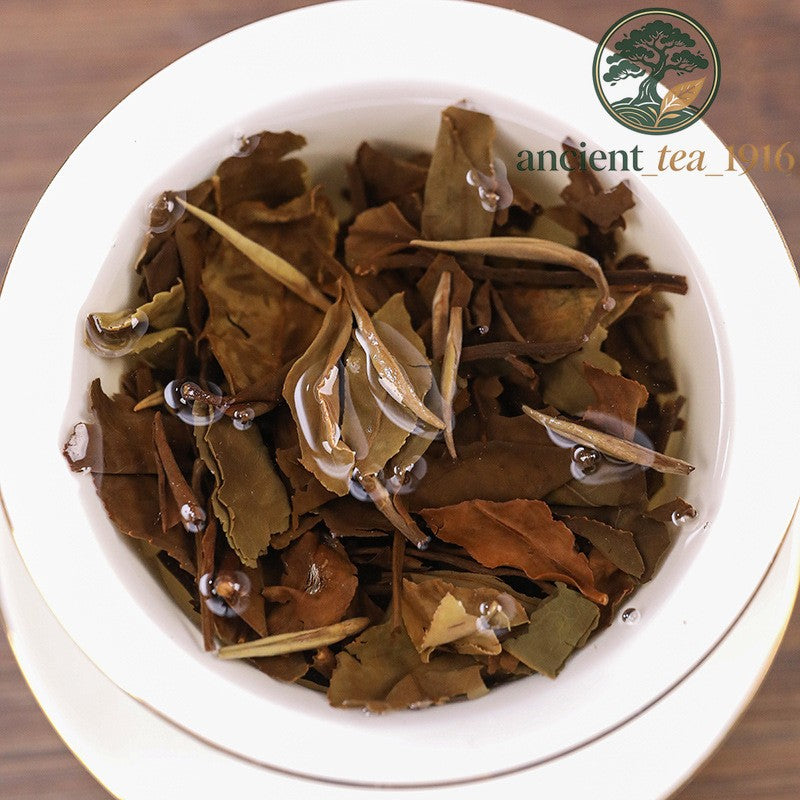 350g 2019 Fuding White Tea High Mountain Chen Nian Shoumei White Tea Cake