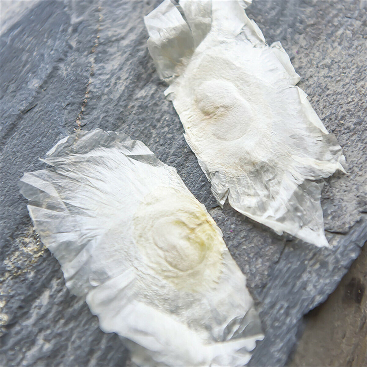 Pure Natural Dried Rosebud Flower Floral Herbal Tea Health Tea New Scented Tea
