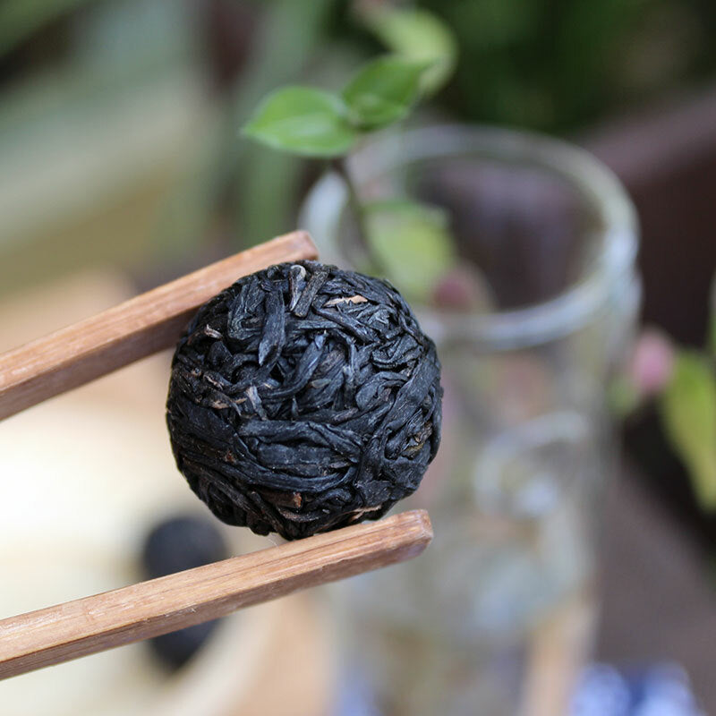 Jing Mai Zi Juan Long Zhu Pu-erh Tea Tuo 250g Raw Puer Tea Pu'er Purple Leaf