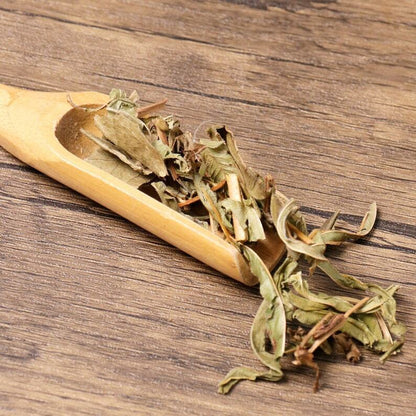 Organic Herbal Shortleaf Kyllinga Herb Herbal Kyllingae Great Quality