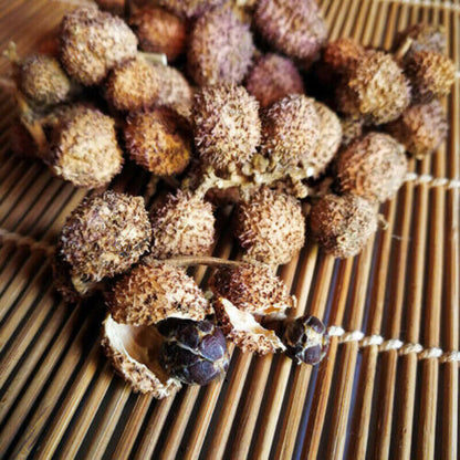 100g Chun Sha Ren Healthy Herbal Tea 春砂仁 干果 广东煲汤 泡茶 泡酒养胃养生茶 调理肠胃