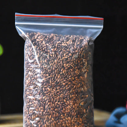 Taste Cooking Bulk for Weight Loss Natural Herbal Tea Barley Tea-
