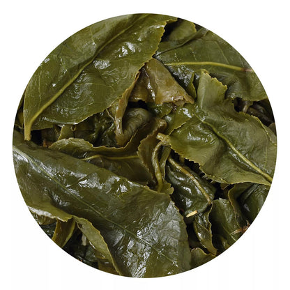 500g Organic Premium Taiwan Milk Oolong Tea Jinxuan Alishan High Mountain Loose