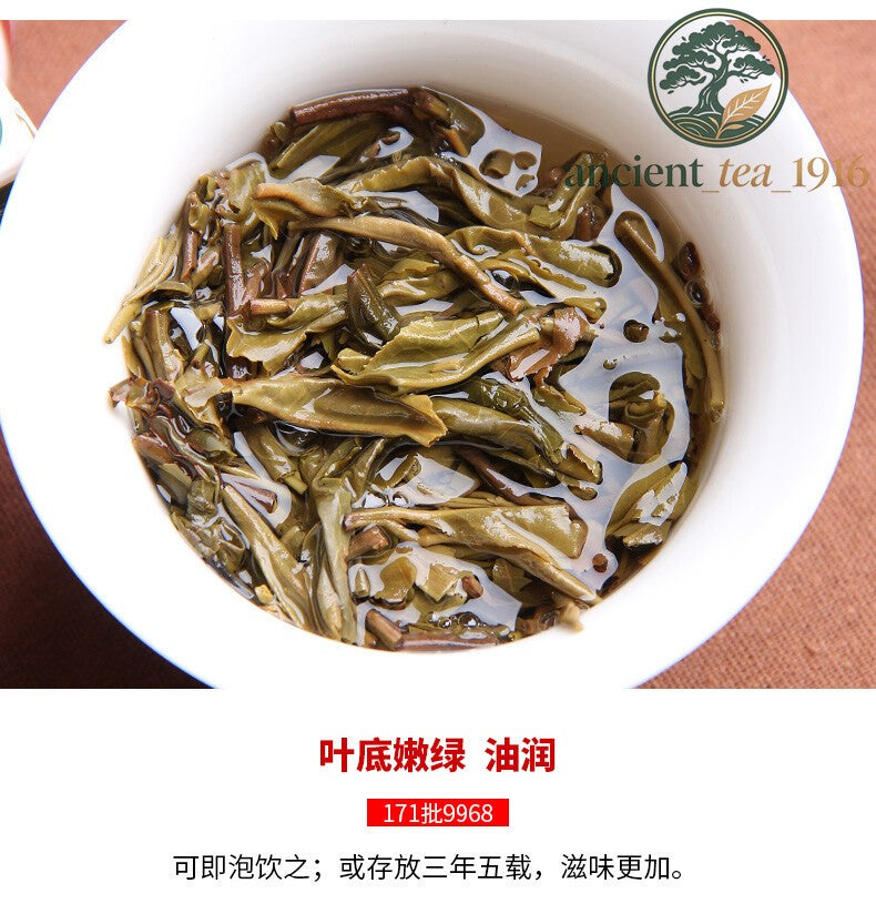 250g Yunnan Hai Wan Green Puer Tea Haiwan Old Comrade 2017 Sheng Pu Er 9968