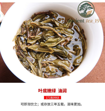 250g Yunnan Hai Wan Green Puer Tea Haiwan Old Comrade 2017 Sheng Pu Er 9968