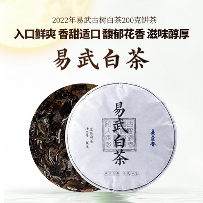 200g Yunnan Yiwu Cake Tea First Spring Big Leaf Pure Material White Tea Yihuchun