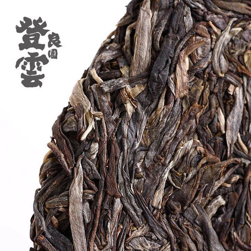 Haiwan 2018 Chinese Puer Tea Liang Yuan "Deng Yun" Old Tree Raw Puerh Pu'er 400g
