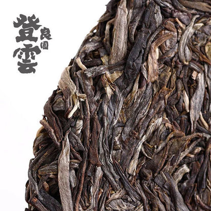 Haiwan 2018 Chinese Puer Tea Liang Yuan "Deng Yun" Old Tree Raw Puerh Pu'er 400g