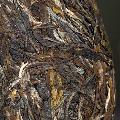 2023 Haiwan Raw Puer Batch 231 "Remote Mountain, Old Tree" Sheng Puerh tea 500g
