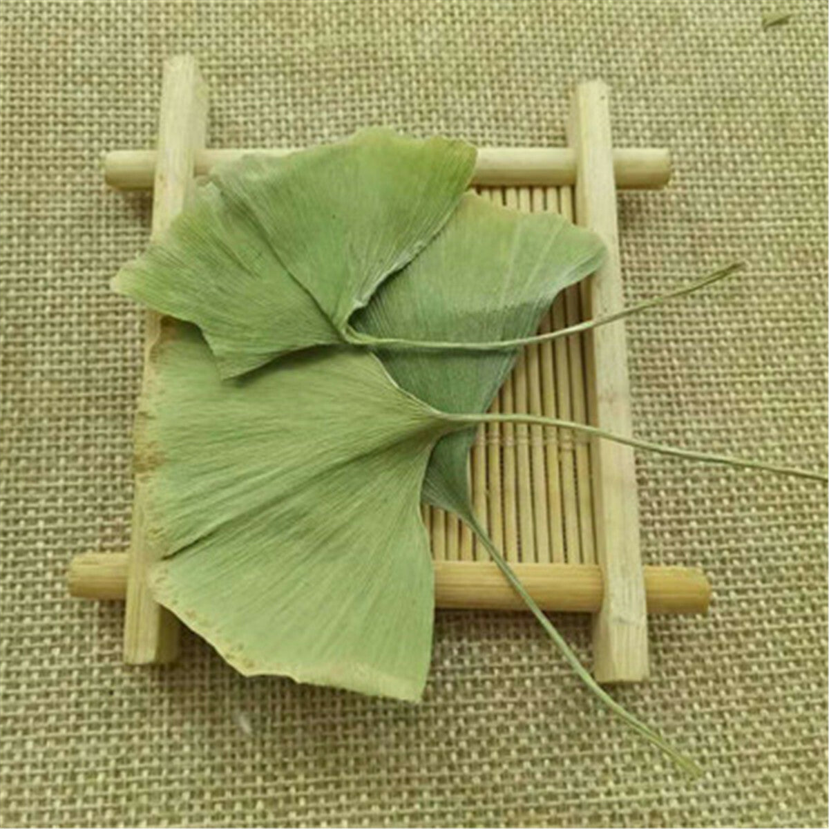 Ginkgo Biloba Leaves Chinese Wild Ginkgo Tea Herbal Tea Loose Leaves