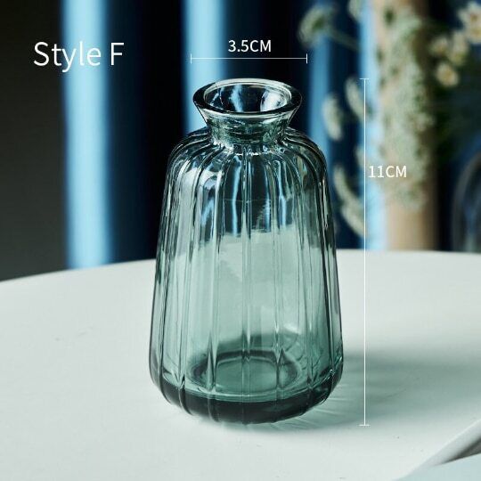 Relief Small Glass Vase Hydroponic Terrarium