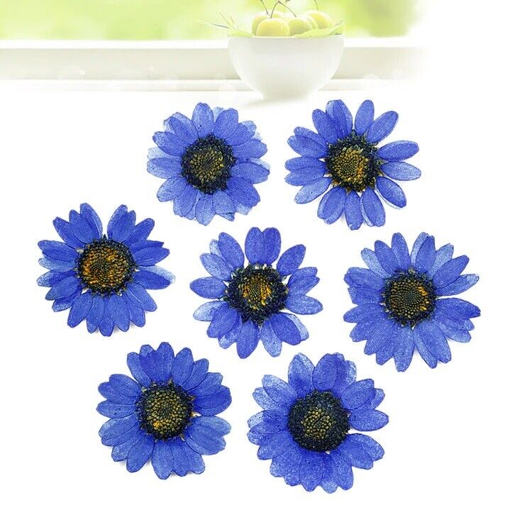 Dried Flowers Pressed Dry Daisy Epoxy Resin Jewelry Making Materials 120Pcs/Lot