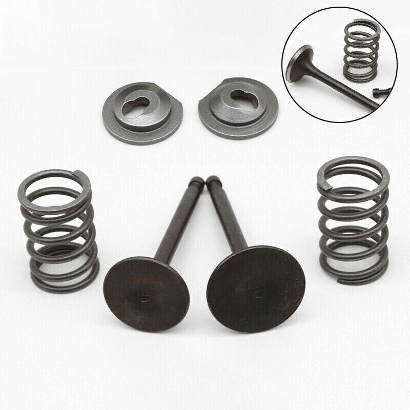 Valve Springs Kit For Honda GX160 GX200 168F 170F 5.5-6.5HP Gasoline Engine