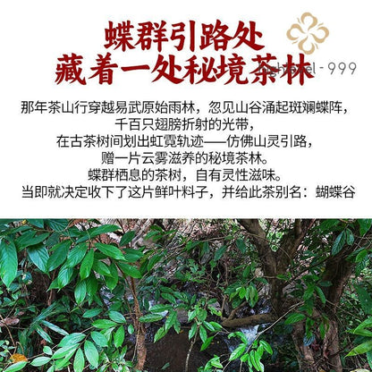 200G 2021 Yiwu Pu'er Tea Sheng Pu'er Tea Yunnan Ancient Tree Raw Tea Cake -